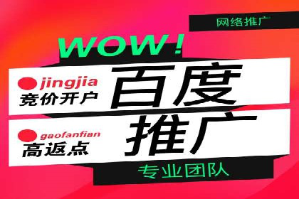 竞价托管成功案例：提升广告投放效果